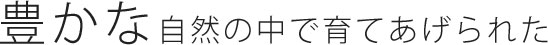 野菜 豊かな自然の中で育てあげられた